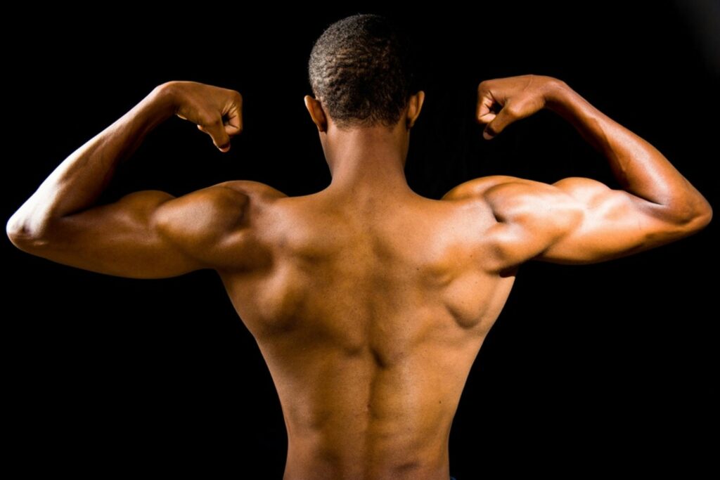 A man's back muscles
